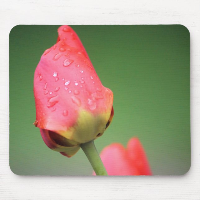Two Pink Tulips Mouse Pad (Front)