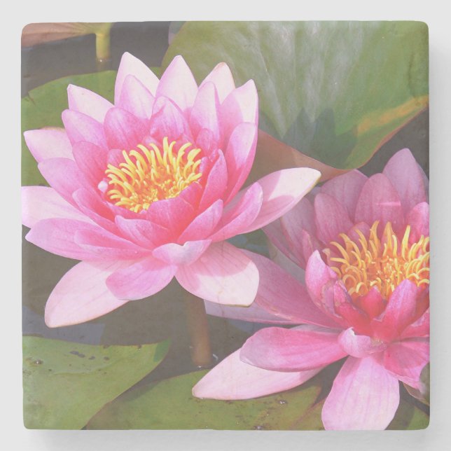 "TWO PINK WATER LILIES" STONE COASTER (Front)