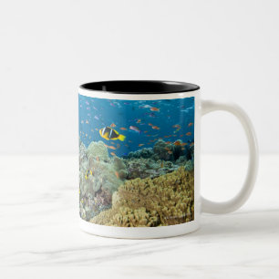 Two pinnacles starting in about 75 feet of water Two-Tone coffee mug