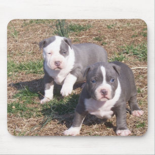 TWO PITBULL PUPS MOUSE MAT