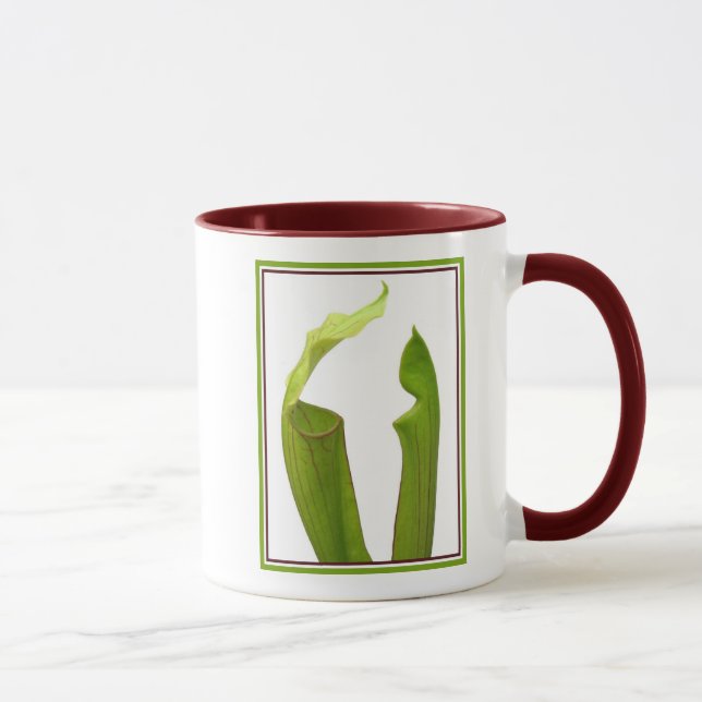 Two Pitcher Plants Mug (Right)