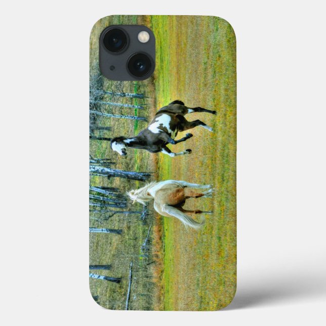 Two Playful Pinto Paint Horses Equine Art Design 2 Case-Mate iPhone Case (Back)
