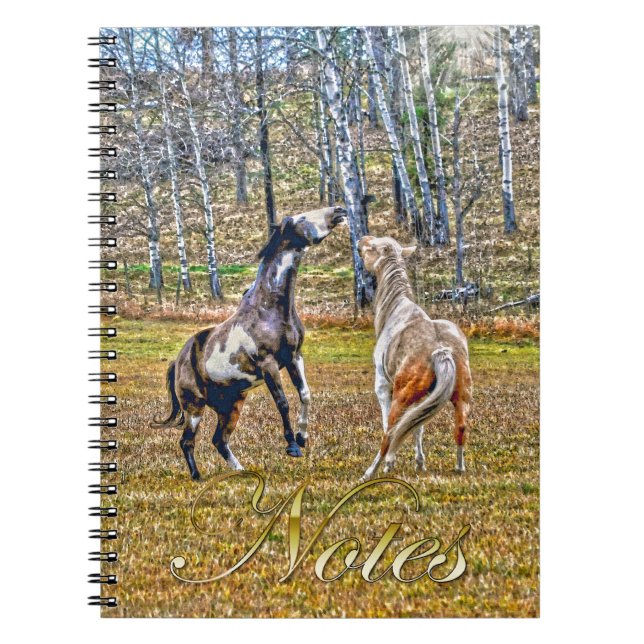 Two Playful Pinto Paint Horses Equine Art Design Notebook (Front)