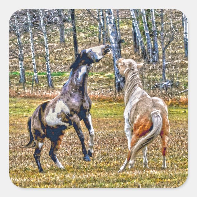 Two Playful Pinto Paint Horses Equine Art Design Square Sticker (Front)