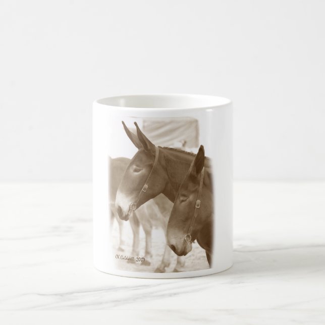 Two Points of View Coffee Mug (Center)