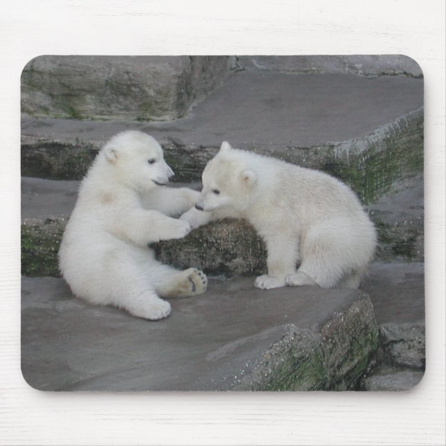 Two Polar bear cubs Mouse Mat (Front)