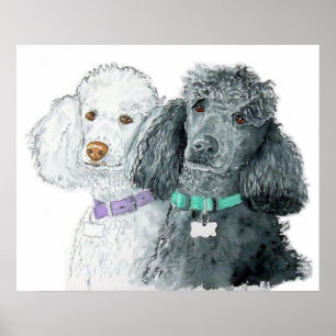 Two Poodles Print