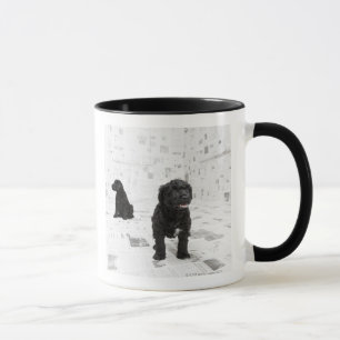 Two Portuguese Water Dog puppies in a room Mug