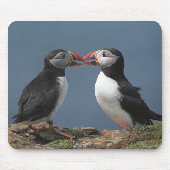 Two puffins mouse mat (Front)