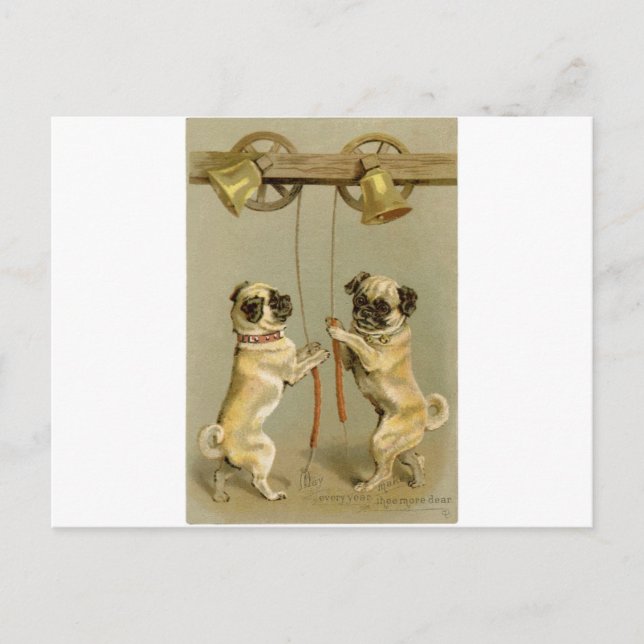 Two pug dogs ringing the Christmas bells Holiday Postcard (Front)