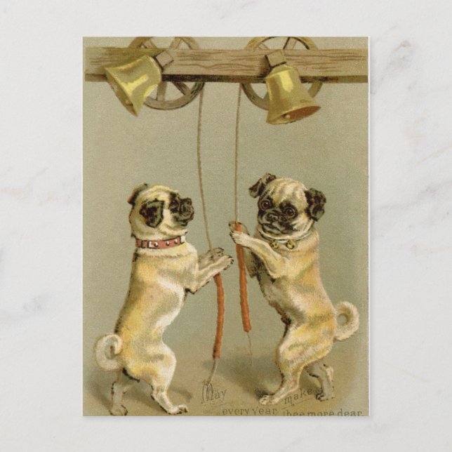 Two pug dogs ringing the Christmas bells Holiday Postcard (Front)