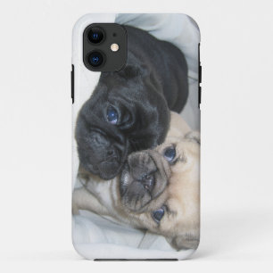 Two pugs case