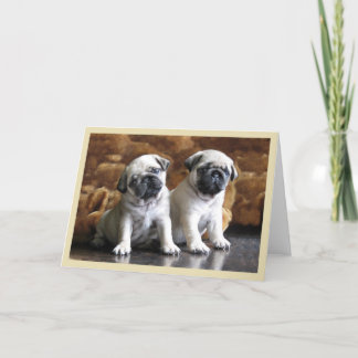Two Pugs Greeting Card