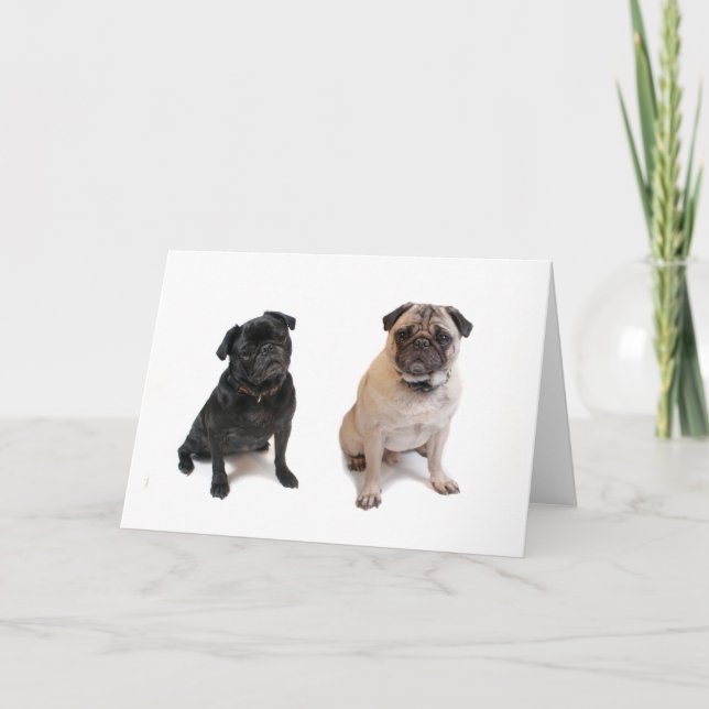 Two pugs one beige one black card (Front)