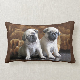 Two Pugs Pillow