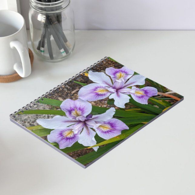 Two Purple Beardless Irises Floral Notebook (In Situ)
