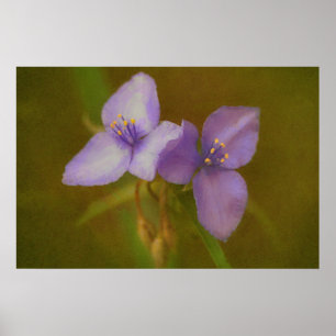 Two Purple Flowers Art Wildflower Poster