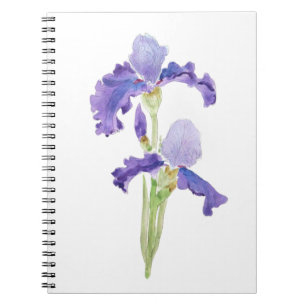 two purple irises ink and watercolor notebook