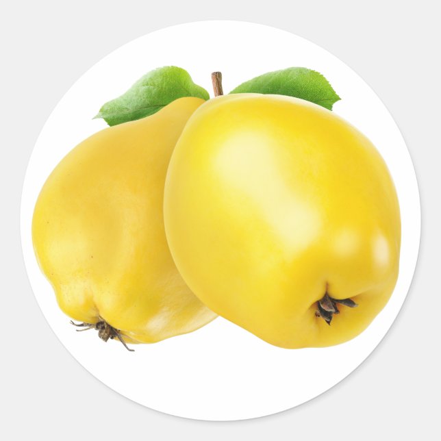 Two quince fruits classic round sticker (Front)