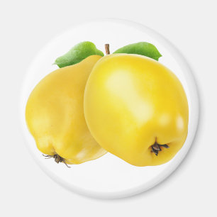 Two quince fruits magnet
