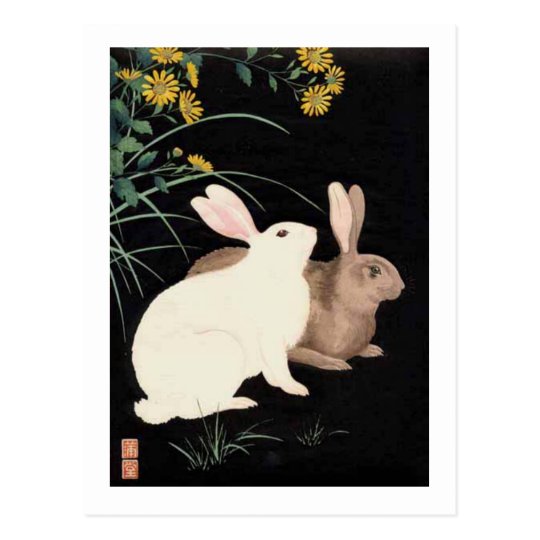 Two Rabbits at Night Postcard