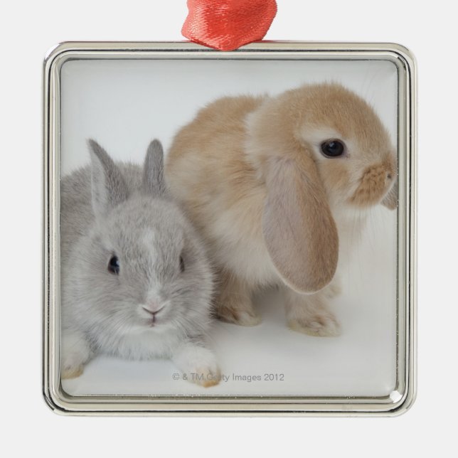 Two rabbits.Netherland Dwarf and Holland Lop. Metal Tree Decoration (Front)