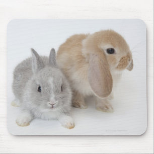 Two rabbits.Netherland Dwarf and Holland Lop. Mouse Mat