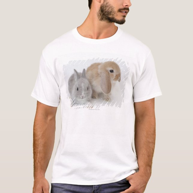 Two rabbits.Netherland Dwarf and Holland Lop. T-Shirt (Front)