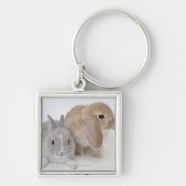Two Rabbits | Netherland Dwarf & Holland Lop Key Ring (Front)