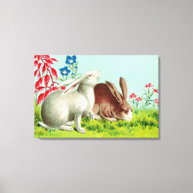 Two rabbits pets vintage art canvas print (Front)