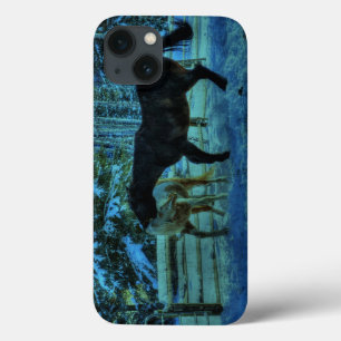 Two Ranch Horses Playfighting at Night in Winter iPhone 13 Case