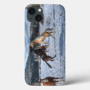 Two Ranch Horses Playfighting in Winter Snow IV iPhone 13 Case