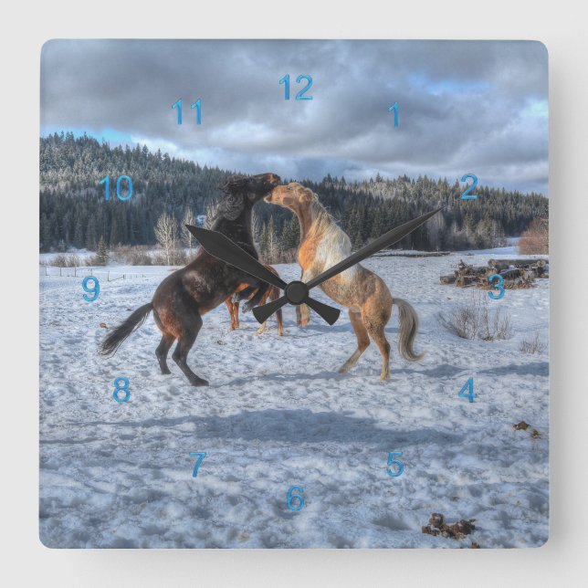 Two Ranch Horses Playfighting in Winter Snow IV Square Wall Clock (Front)