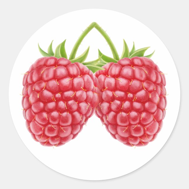 Two raspberries classic round sticker (Front)