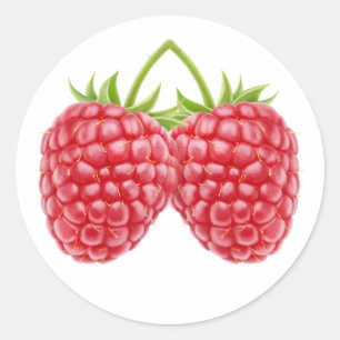 Two raspberries classic round sticker