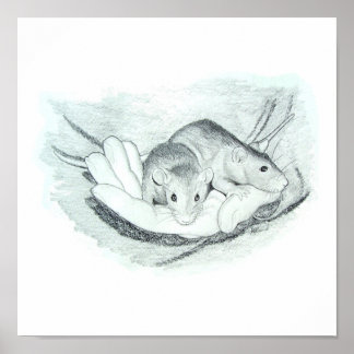 Two rats in the hand poster