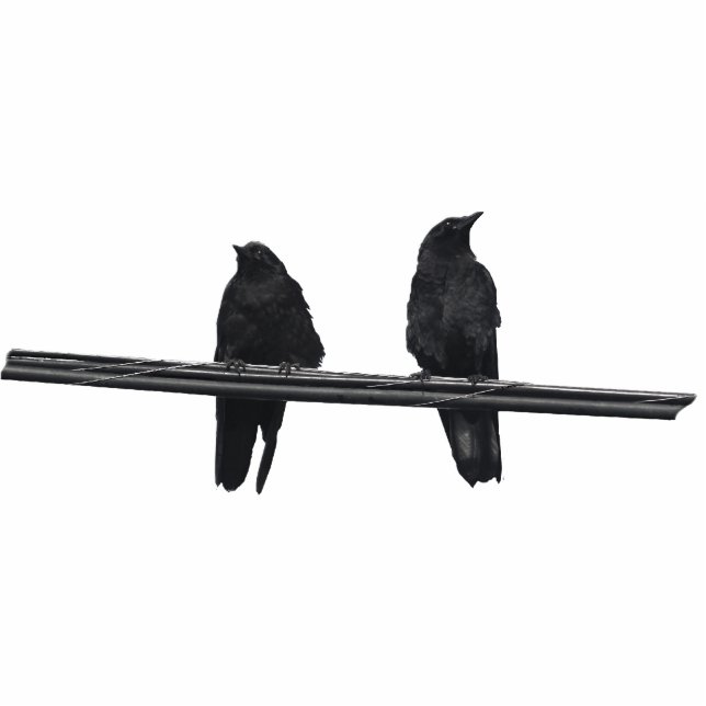Two Ravens On A Wire Magnet (Sculpted) Photo Sculpture Magnet (Front)