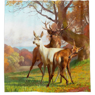 Two Red And White Deer In The Forest  Shower Curtain
