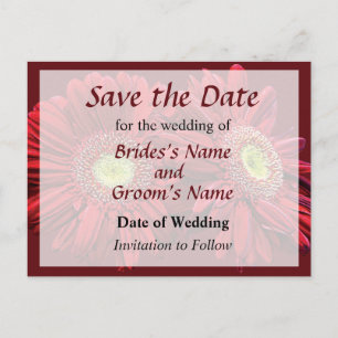 Two Red Daisies Save the Date Announcement Postcard