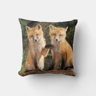 Two Red Fox Pups in Front of Their Den Cushion