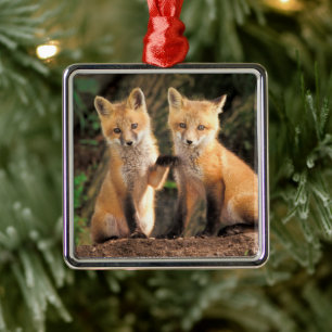 Two Red Fox Pups in Front of Their Den Metal Tree Decoration