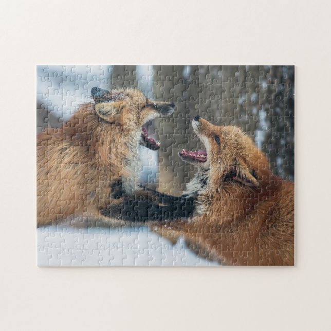 Two Red Foxes Fighting Jigsaw Puzzle (Horizontal)