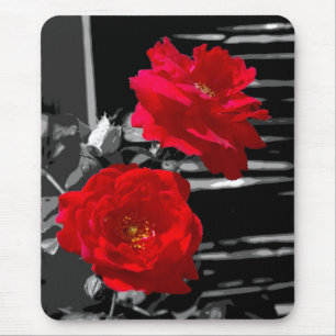 TWO RED ROSES MOUSE MAT