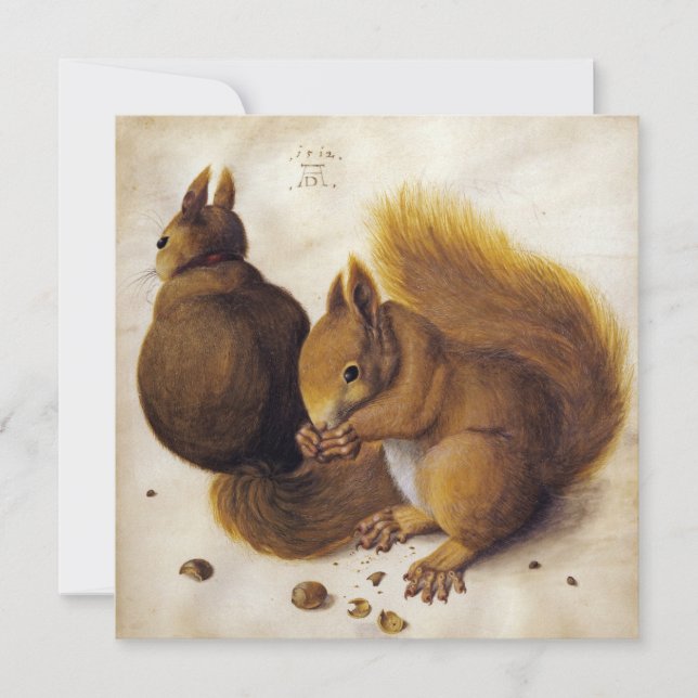 Two Red Squirrels (by Albrecht Dürer) Card (Front)