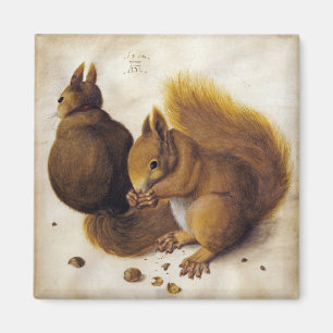Two Red Squirrels (by Albrecht Dürer) Magnet
