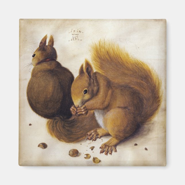 Two Red Squirrels (by Albrecht Dürer) Magnet (Front)