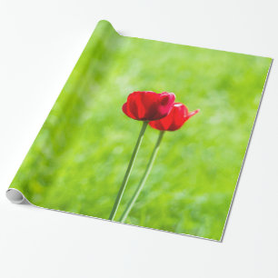 Two red tulip flowers wrapping paper