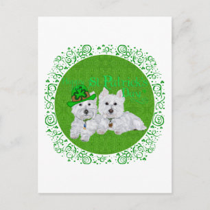 Two Resting Westies on St Patricks Day Postcard