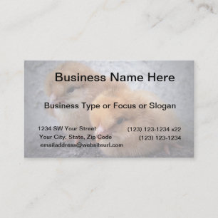 two rhode island red chicks photo vignette business card