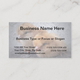 two rhode island red chicks photo vignette business card